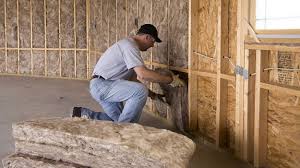 Best Insulation Removal  in Tye, TX