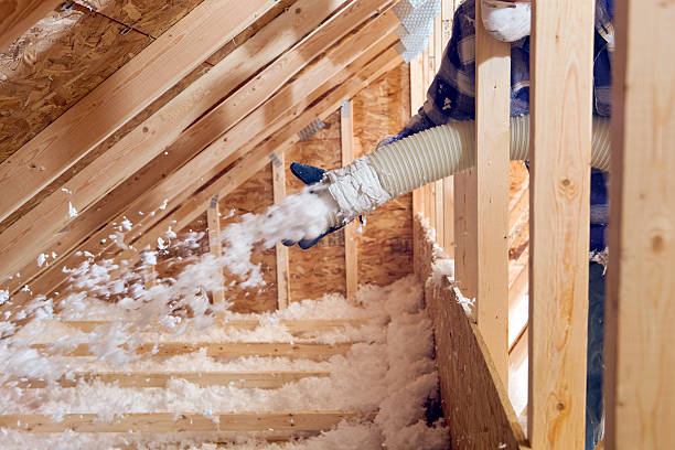 Best Commercial Insulation Services  in Tye, TX